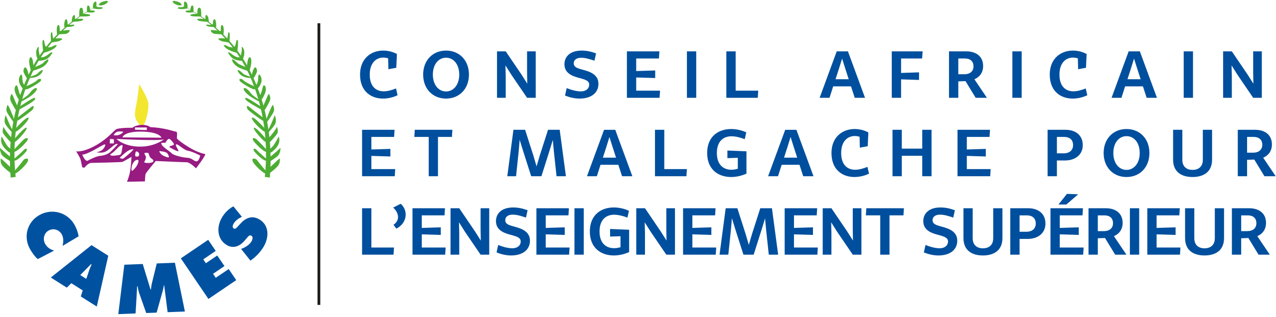 African and Malagasy Council for Higher Education